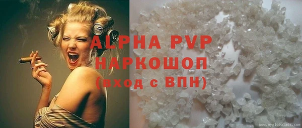 мдпв Богданович