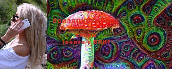 индика Волосово