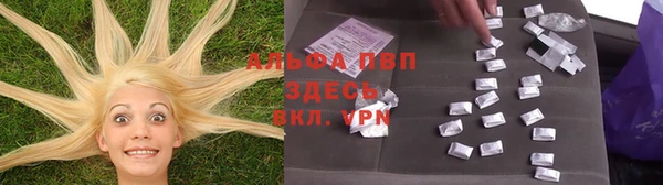 дурь Няндома