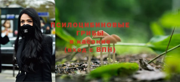 мдпв Богданович