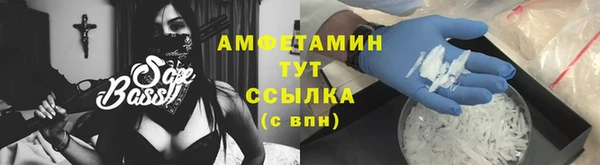мдпв Богданович