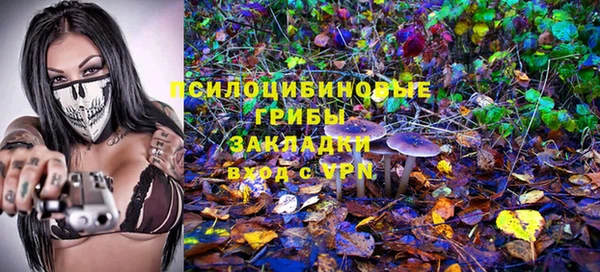 хмурый Богородицк