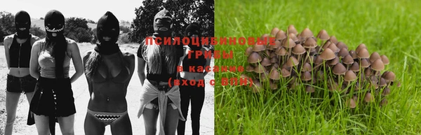 PSILOCYBIN Волоколамск
