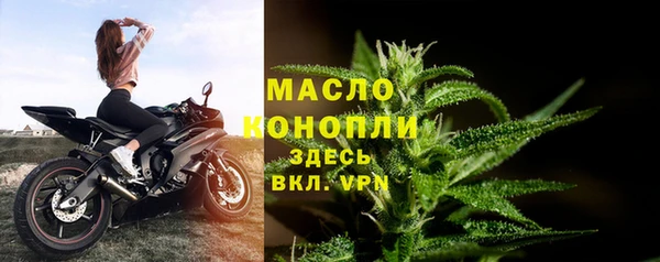 хмурый Богородицк